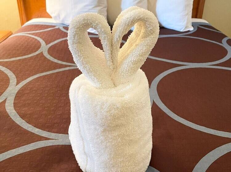 غرفه قياسيه سريرين مزدوجين, Super 8 By Wyndham Williston Nd