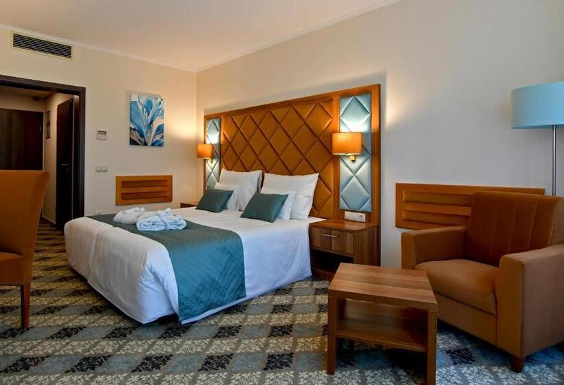 غرفة سوبيريور مزودة بشرفة, Wellness Hotel Gyula