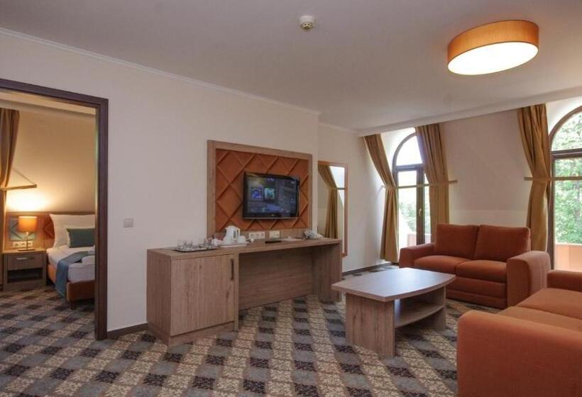 جناح جونيور, Wellness Hotel Gyula