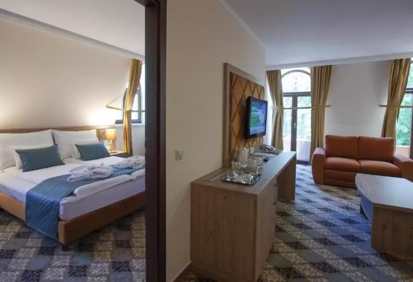 سوییت جونیور, Wellness Hotel Gyula