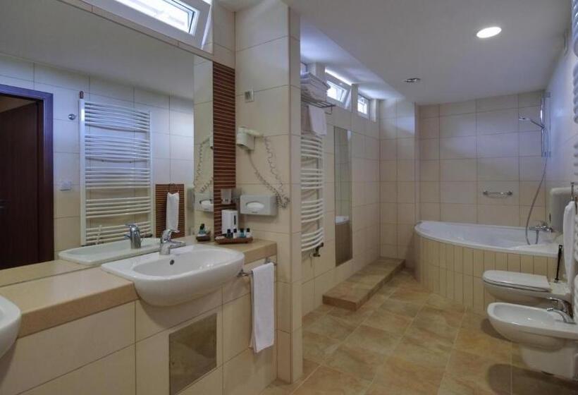 جناح ديلوكس, Wellness Hotel Gyula