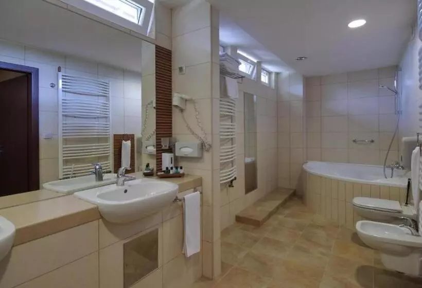 سوییت لوکس, Wellness Hotel Gyula