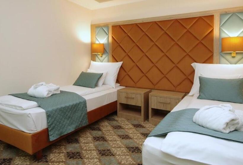 جناح ديلوكس, Wellness Hotel Gyula