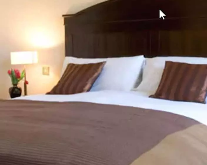Standard Yhden Hengen Huone, Baileys Hotel Cashel