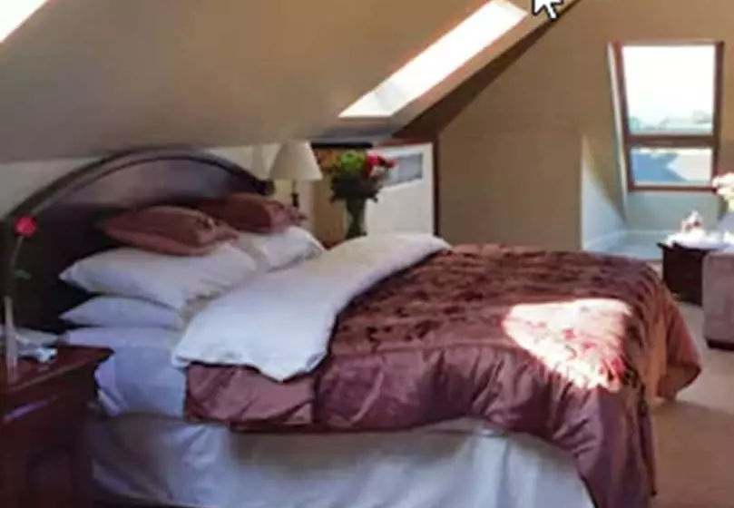 Standard Yhden Hengen Huone, Baileys Hotel Cashel