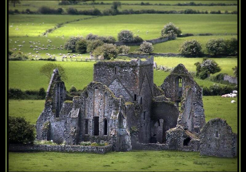 חדר סטנדרט, Baileys Hotel Cashel