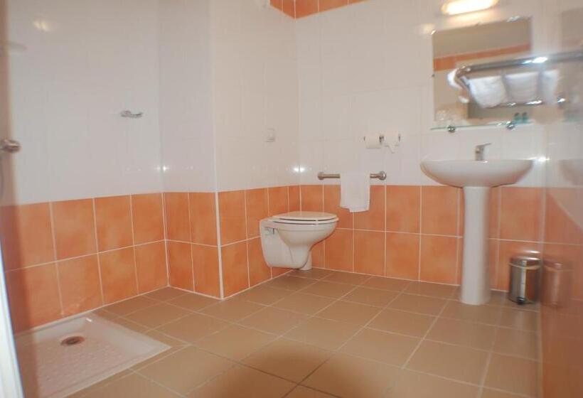 اتاق استاندارد, Centre International De Sejour