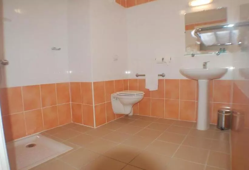 اتاق استاندارد, Centre International De Sejour