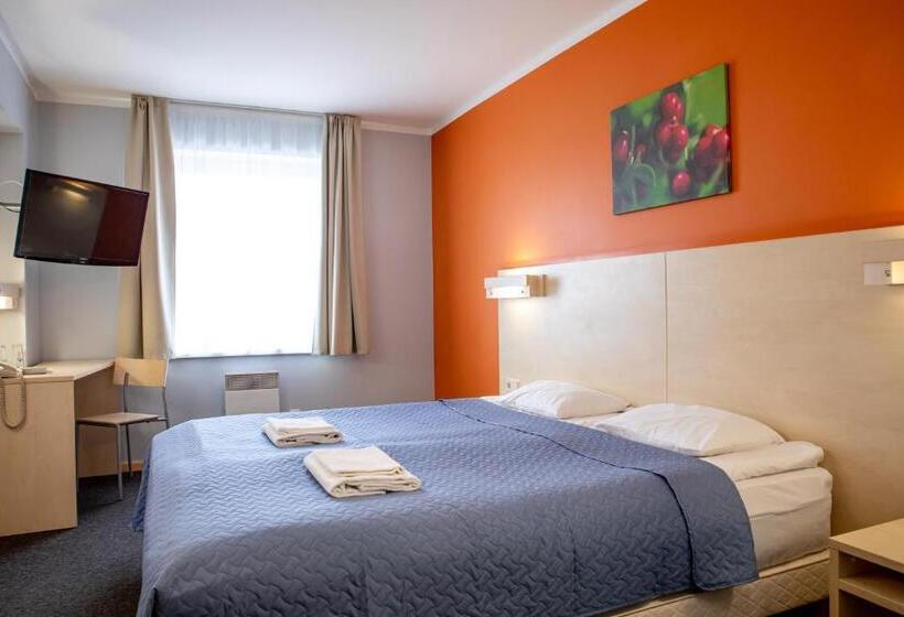 اتاق استاندارد, Rija Bauska