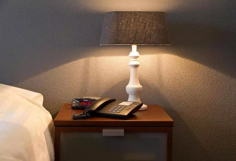 Standard Single Room, Parkhotel Hugo De Vries