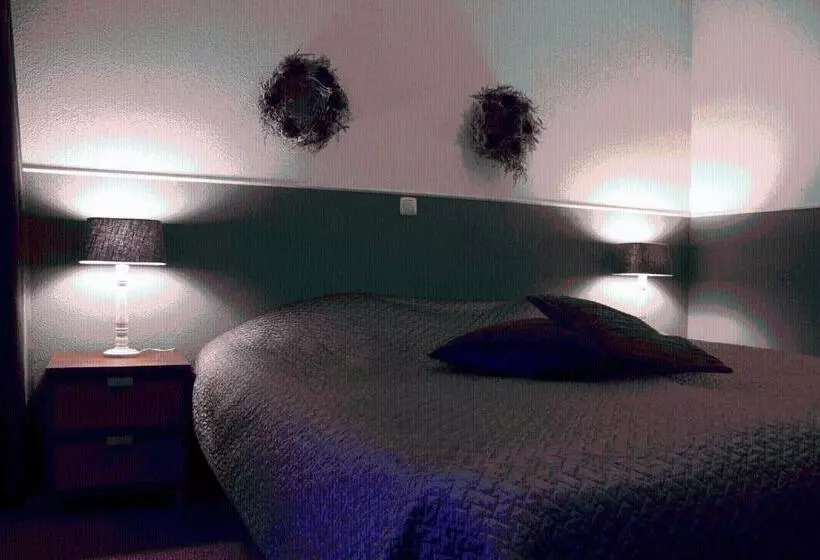 Economy Room, Parkhotel Hugo De Vries