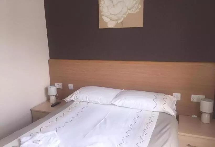 Standard Værelse, Seashells
