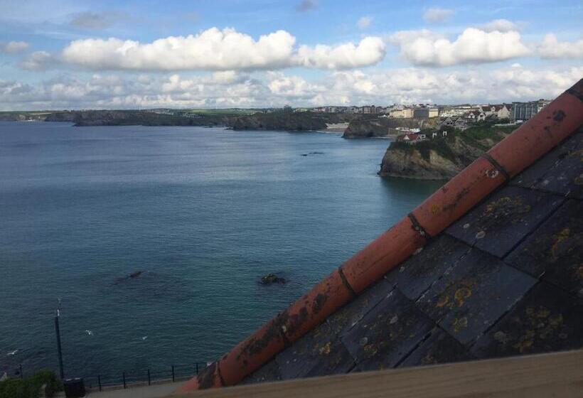 Семейный Номер, Seashells