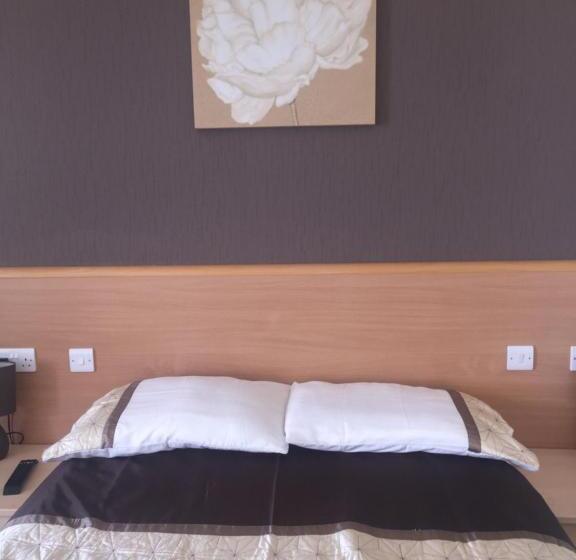 Номер Стандарт Вид на Море, Seashells