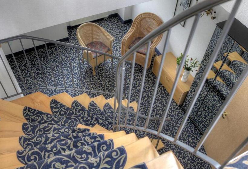 דירת חדר, Asgard