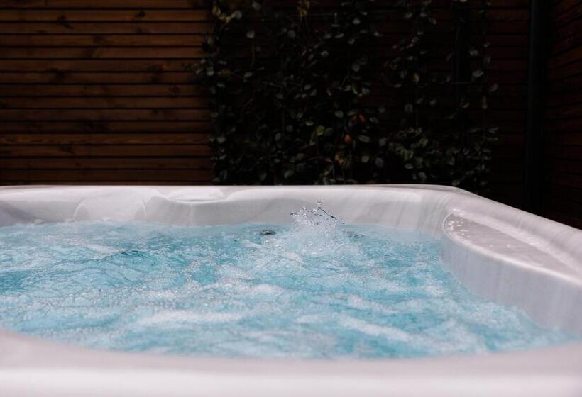 Номер Стандарт с Гидромассажем, Logis Domaine Du Moulin Cavier