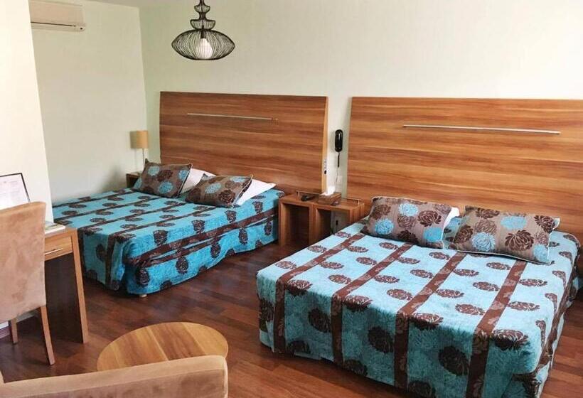 غرفة قياسية رباعية, Logis Hôtel D Angleterre