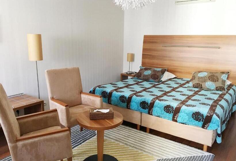 غرفة ديلوكس, Logis Hôtel D Angleterre