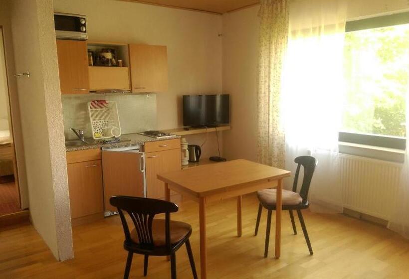 Апартаменты 1 Спальня с Балконом, Saarland Lebach