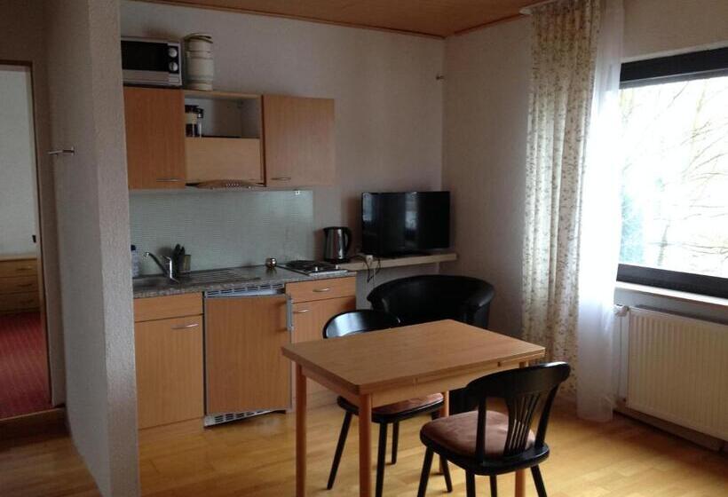 Апартаменты 1 Спальня с Балконом, Saarland Lebach
