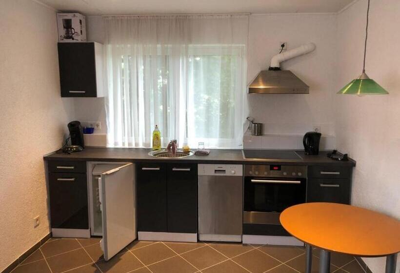 Апартаменты 1 Спальня с Террасой, Saarland Lebach