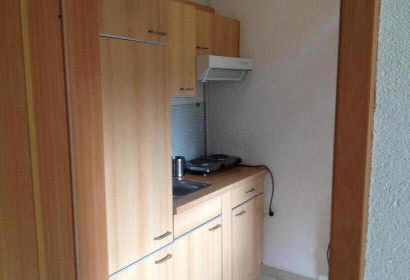 Апартаменты 2 Спальни, Saarland Lebach