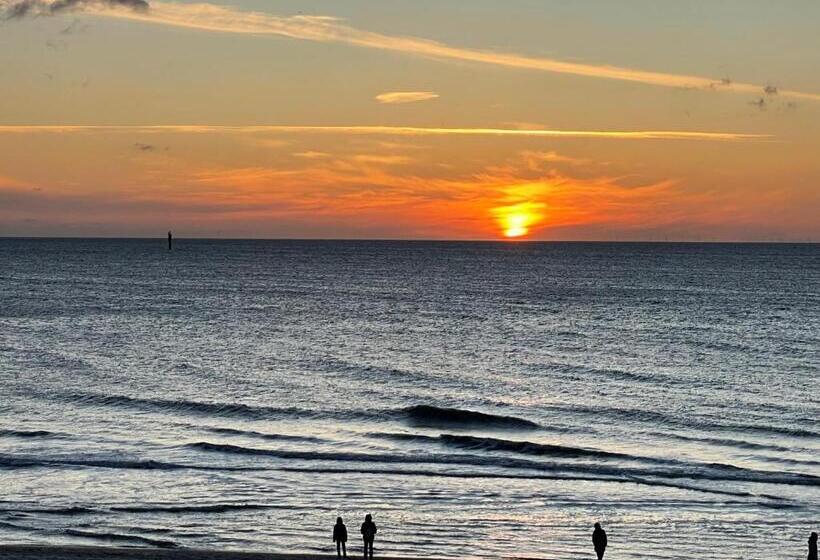 带海景的标准单人间, Strandhotel Monbijou Gmbh Garni