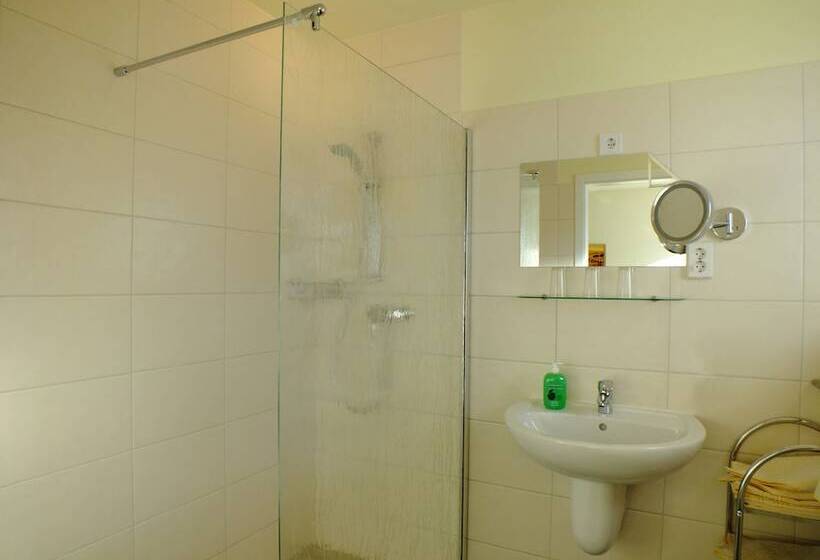 اتاق استاندارد, Gasthof Goldener Hahn