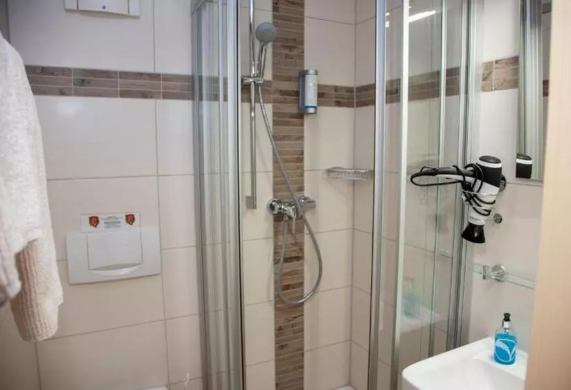 スタンダードシングルルーム, Seehotel Zum Löwen