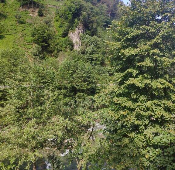 ファミリールーム, Melenkale Bungalov Dağevi