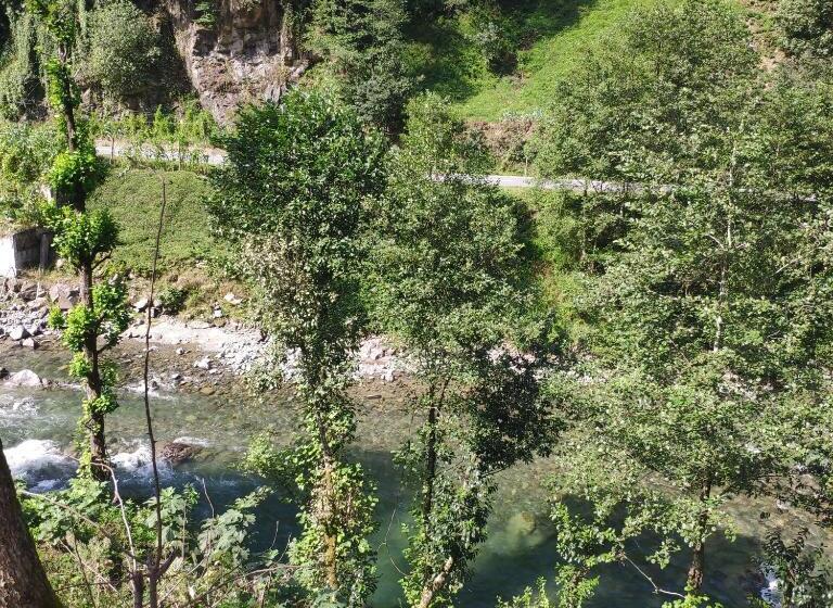 ファミリールーム, Melenkale Bungalov Dağevi