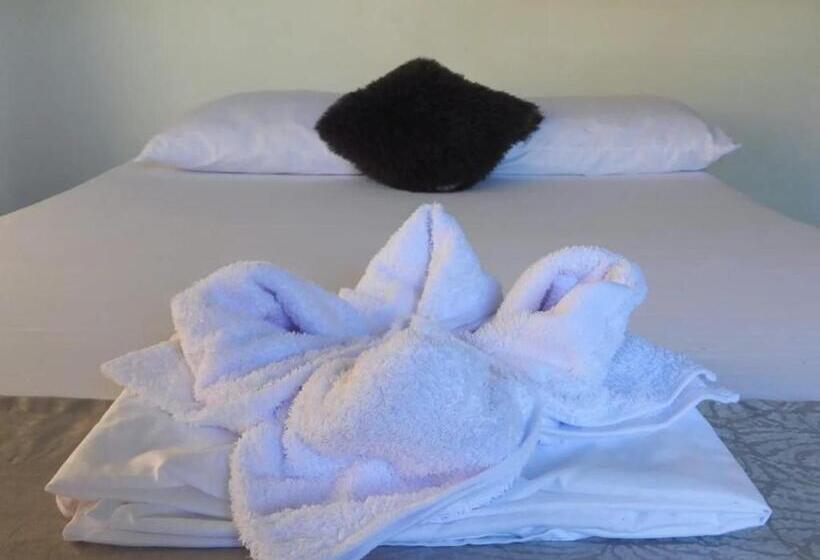 Номер Стандарт, Sg