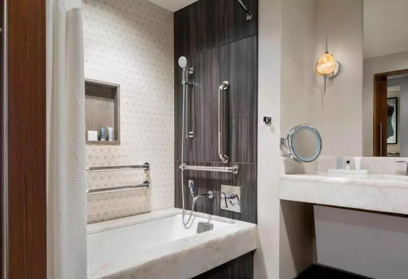 身障者適用スタンダードルーム, Jw Marriott Austin