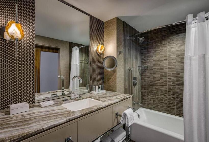 장애인을 위한 스탠다드 룸, Jw Marriott Austin