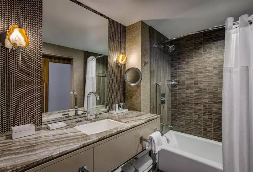 身障者適用スタンダードルーム, Jw Marriott Austin