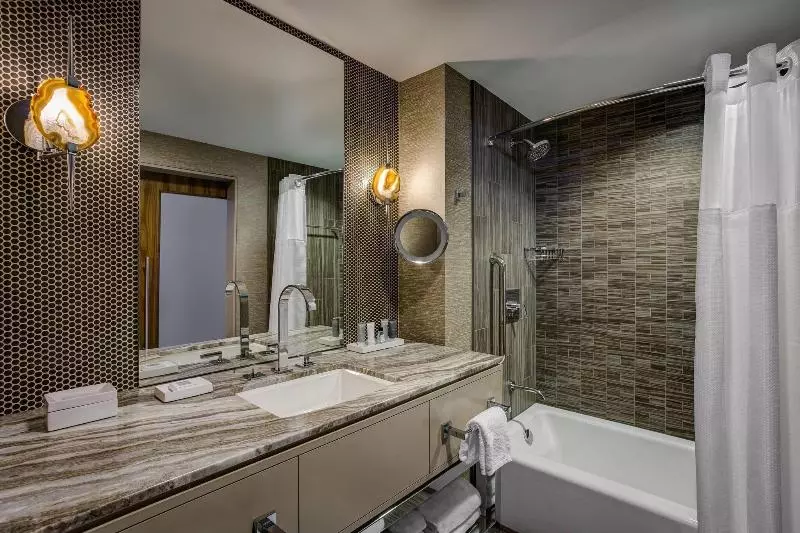 シングルデラックスルーム, Jw Marriott Austin