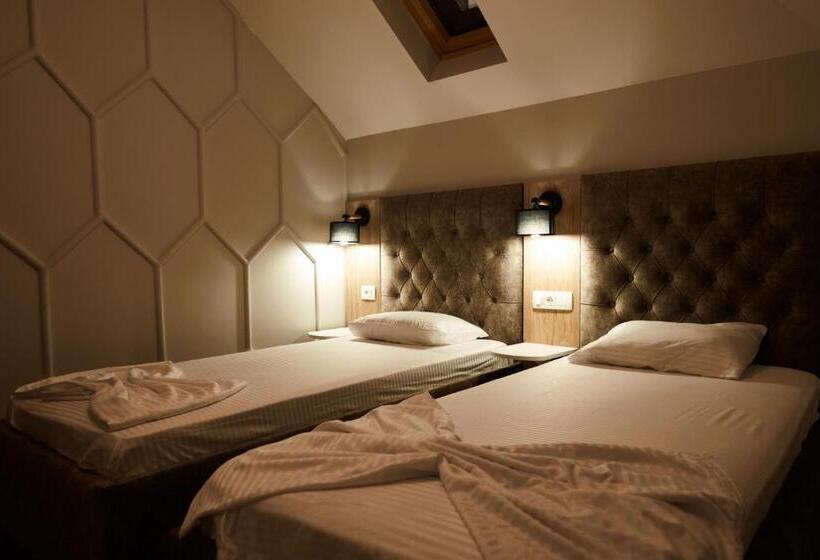 اتاق استاندارد, Amico