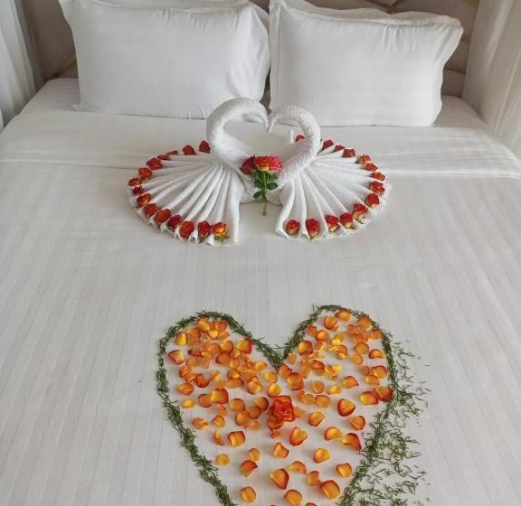 اتاق لوکس, The Voice