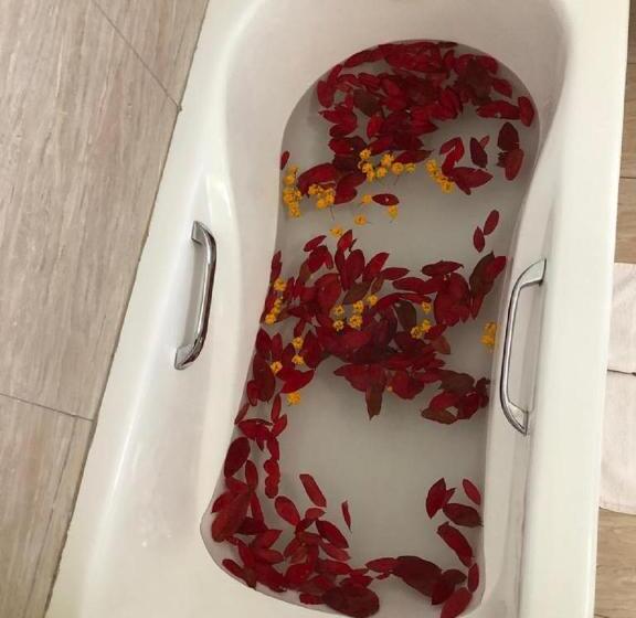 اتاق لوکس, The Voice