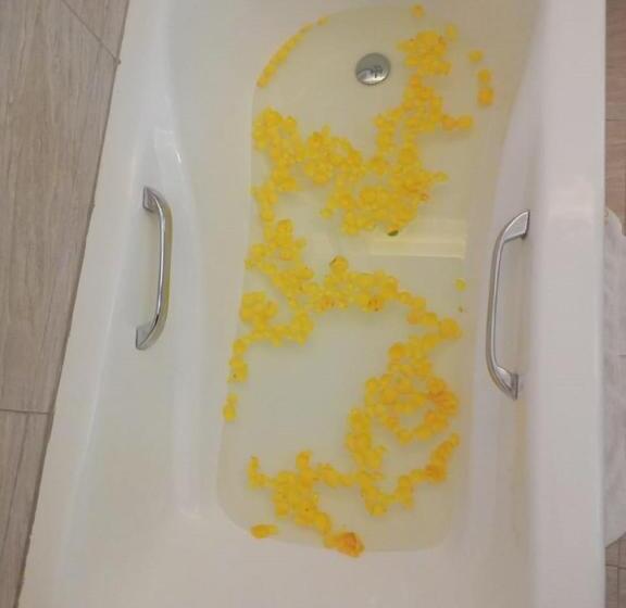 اتاق لوکس, The Voice