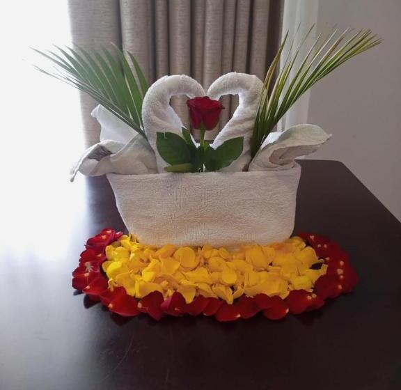 اتاق لوکس, The Voice