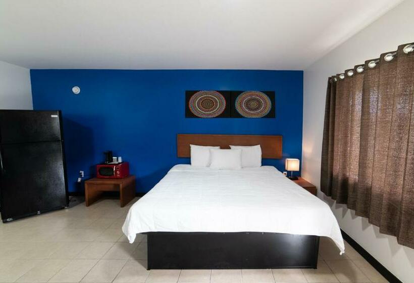 اتاق استاندارد با تخت بزرگ, American Inn