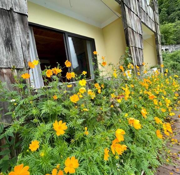 اتاق استاندارد با چشم‌انداز, Arista Homestay