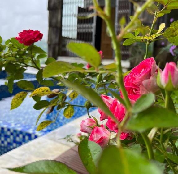 اتاق لوکس, Arista Homestay