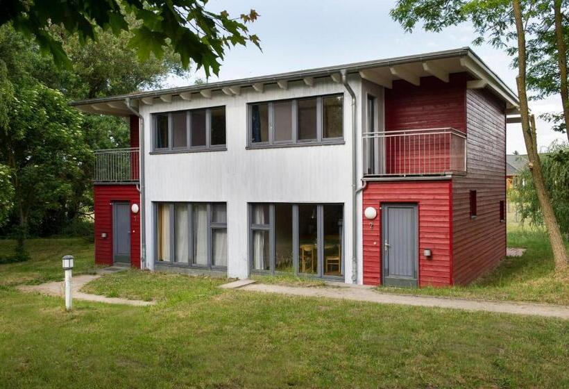 标准间, Basiskulturfabrik öko