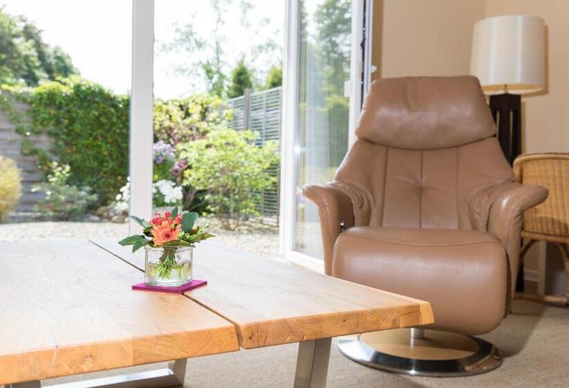 商务房间, Hildebrandt S