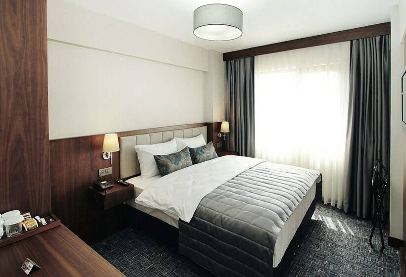 غرفة قياسية, Pisa