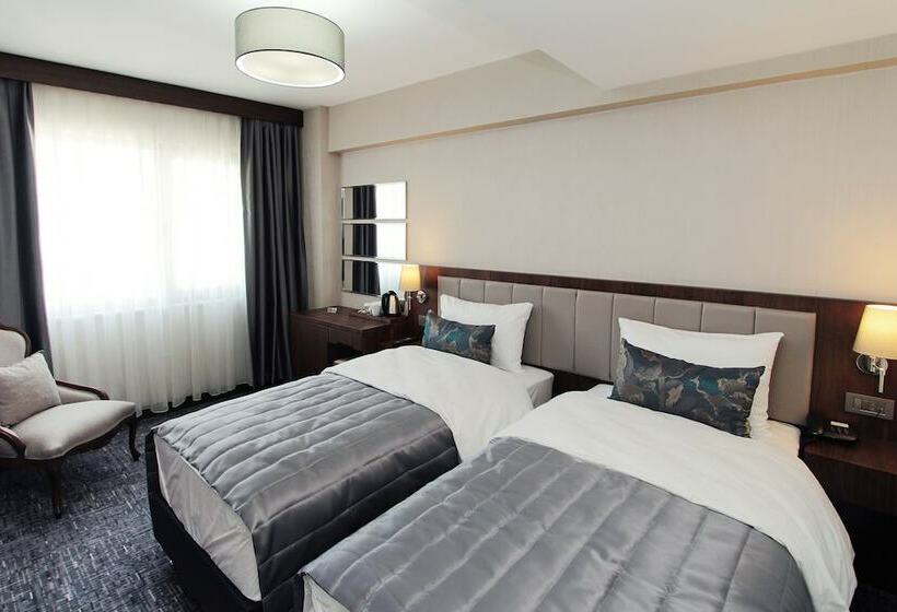 غرفة قياسية, Pisa