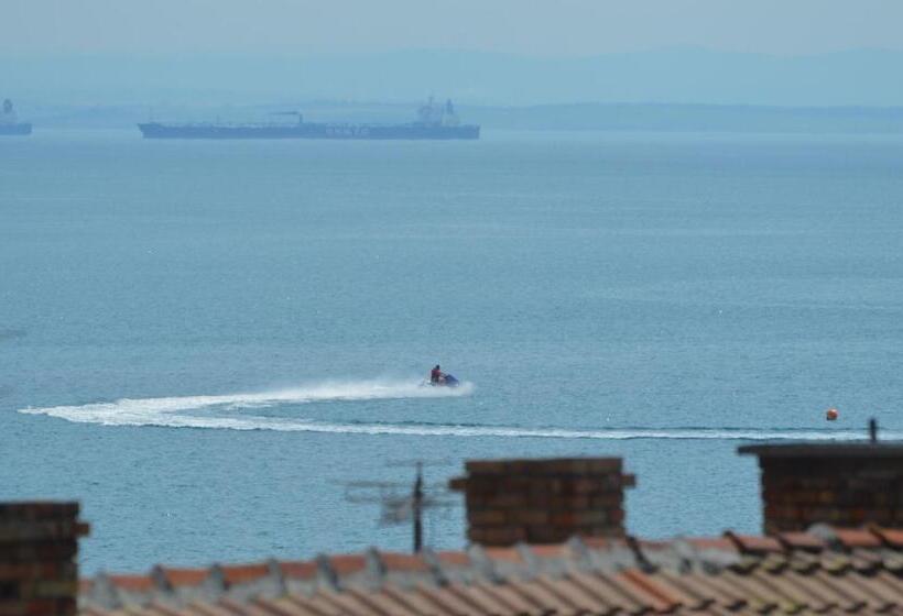 标准间, Stamatovi Family