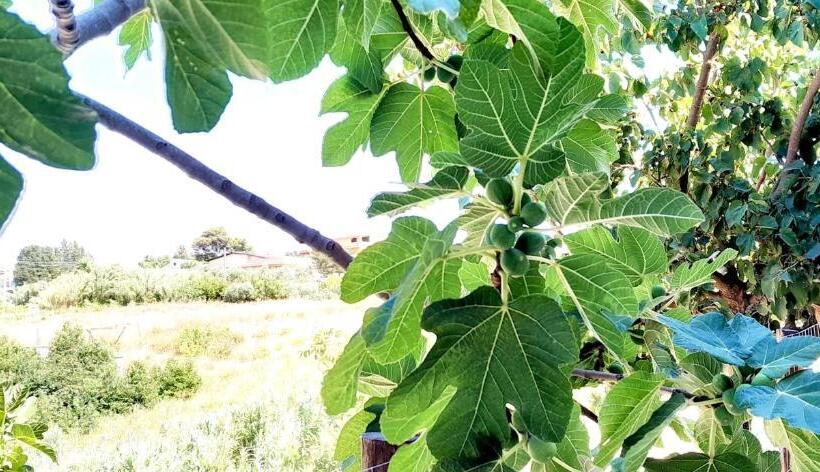 Номер Стандарт, Ci Vulia B&b Sicilia Sea, Pool, Bbq, Tv, Wi Fi